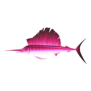 Pink Sailfish